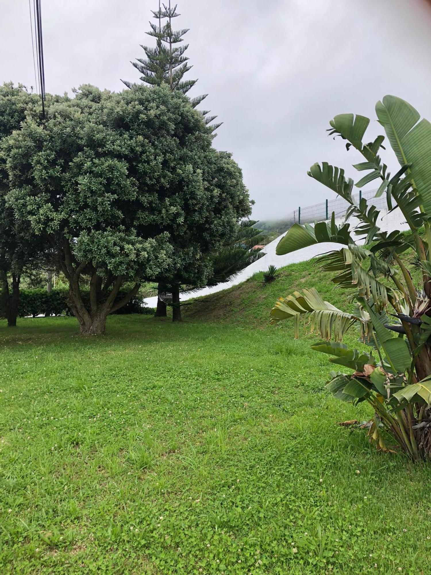 Vivenda Flor Villa Ponta Delgada Eksteriør billede