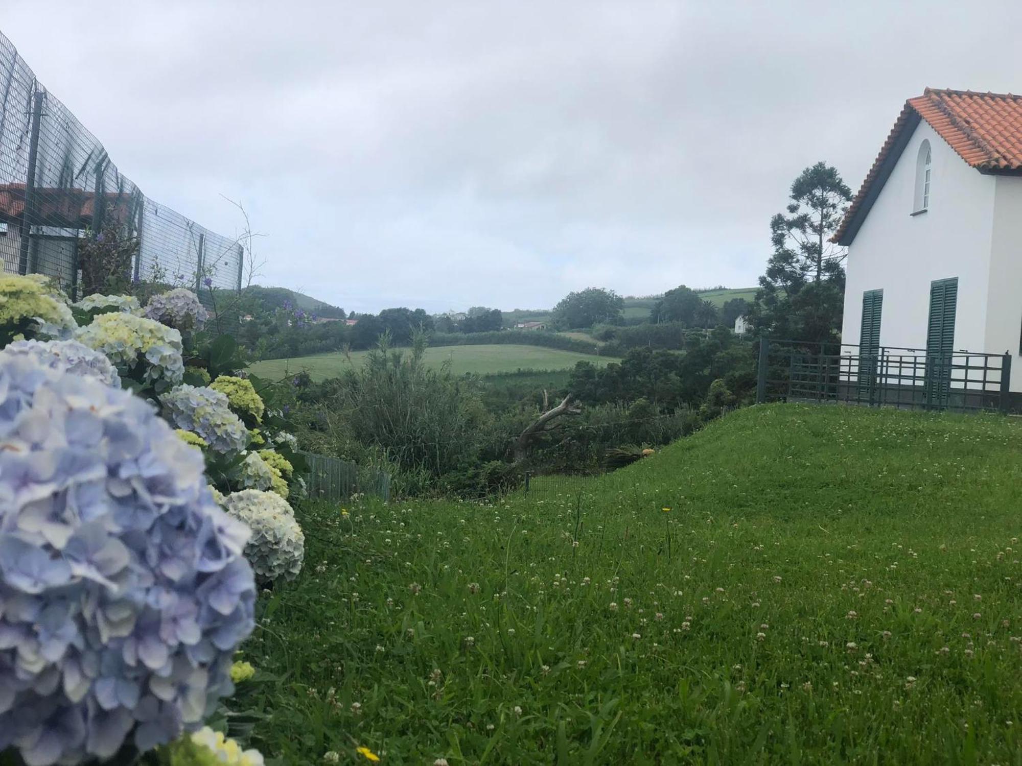 Vivenda Flor Villa Ponta Delgada Eksteriør billede