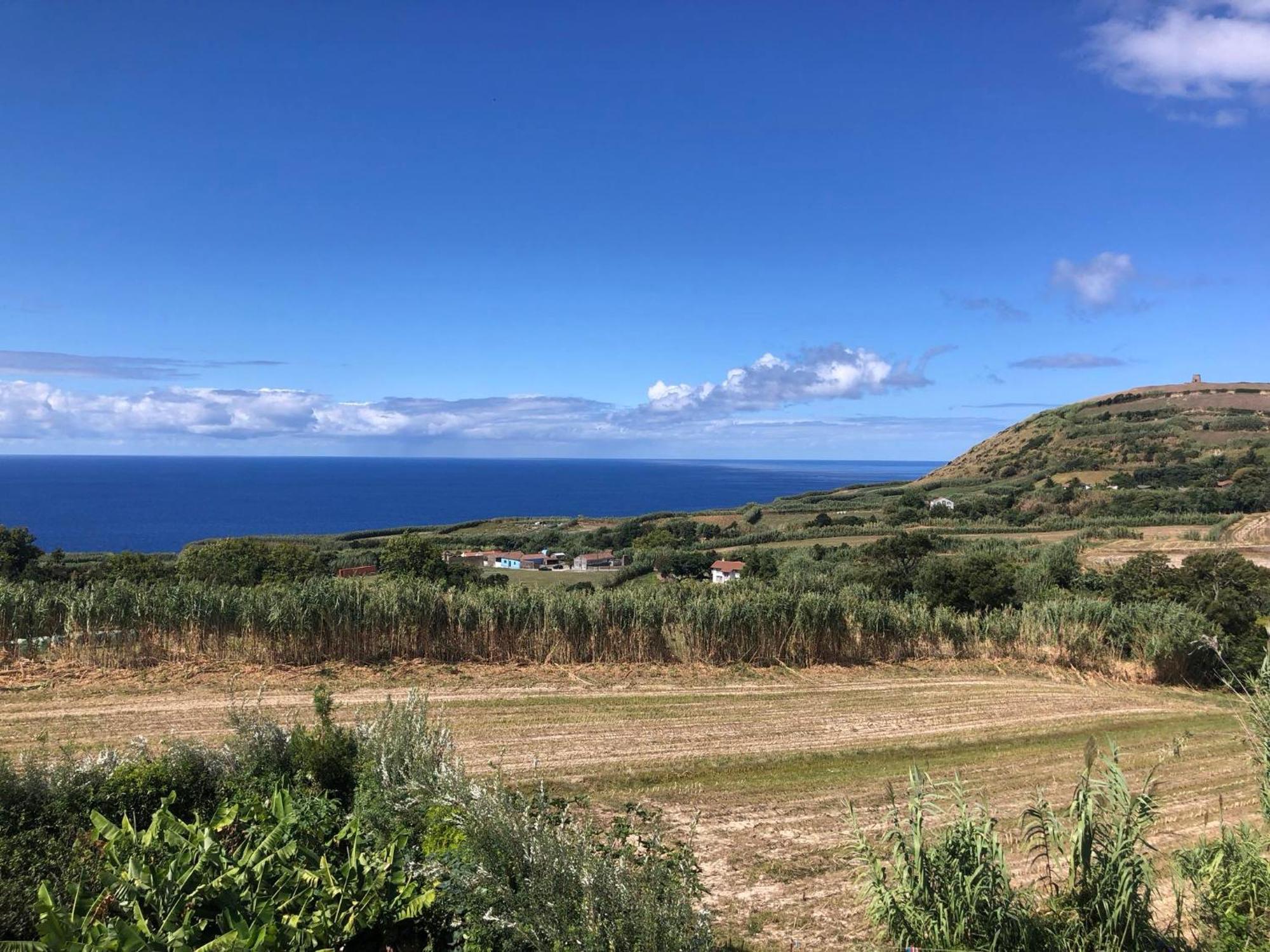 Vivenda Flor Villa Ponta Delgada Eksteriør billede